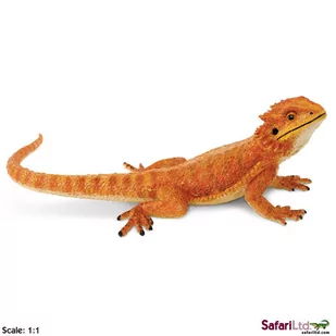 Safari Xl Ltd 263129 Agama Brodata jaszczurka 21,5x14,5x7,5cm 729488 - Figurki dla dzieci - miniaturka - grafika 1
