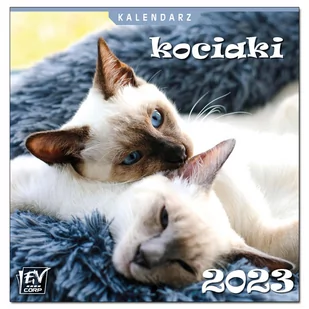 Kalendarz 2023 13 Plansz 16x16cm Kociaki - Kalendarze - miniaturka - grafika 1