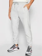 Spodnie sportowe męskie - REEBOK Spodnie dresowe Worout Fleece GS6654 Niebieski Relaxed Fit - miniaturka - grafika 1