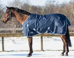 Derka padokowa 200g 600D - QHP - dark blue - Derki dla konia - miniaturka - grafika 1