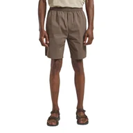 Spodenki męskie - Męskie szorty Jack Wolfskin WAGAMI SHORTS M cold coffee - S - miniaturka - grafika 1