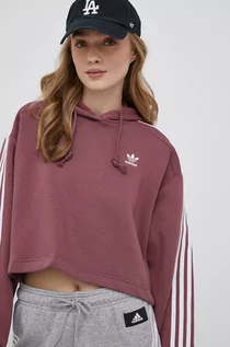 Bluzy damskie - Adidas Originals Originals bluza damska kolor fioletowy z kapturem z aplikacją - grafika 1