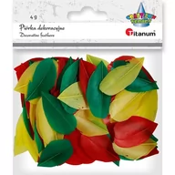 Pozostałe akcesoria dla plastyków - Titanum Piórka płatki 4g mix kolorów - miniaturka - grafika 1