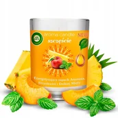 Świece - Air Wick świeca zapachowa Happiness 220 g - miniaturka - grafika 1