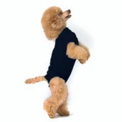 Ubranka dla psów - Trovet Kombinezon dla psa Recovery Suit czarny XXXS - miniaturka - grafika 1