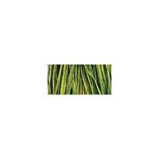 Rękodzieło - Rayher 5215085 Naturbast, wiązka 25 g, kolor zielony kukurydziany - miniaturka - grafika 1