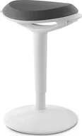 Taborety i hokery - DM Ergonomiczny hoker balansujący Spacetronik Zippy biało-szary - miniaturka - grafika 1