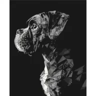 Malowanie po numerach - Malowanie po numerach BRUSHME 40x50 cm pies - miniaturka - grafika 1