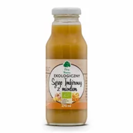 Zdrowa żywność - Dary Natury Syrop Imbirowy z Miodem BIO 270ml - - miniaturka - grafika 1