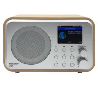 Radia - Ferguson i101 Radio FM DAB+ Internetowe Bluetooth Srebrno-brązowy - miniaturka - grafika 1