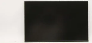Lenovo 13.3-inch WUXGA LCD display - Akcesoria do komputerów stacjonarnych - miniaturka - grafika 1