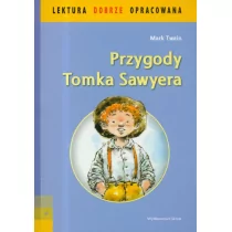 Przygody Tomka Sawyera lektura dobrze opracowana - Lektury szkoła podstawowa - miniaturka - grafika 1