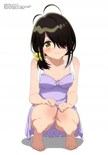 Plakat Shiunji-ke no Kodomo-tachi A3 (297mm x custom) Anime