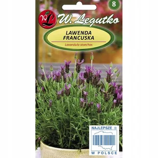 Lawenda francuska - ciemnopurpurowa - Nasiona i cebule - miniaturka - grafika 1