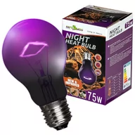 Akcesoria do terrarium - Repti-Zoo Night Heat Bulb 75W - Żarówka Grzewcza Nocna - miniaturka - grafika 1