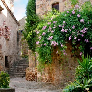 Fototapeta kwiaty beżowym,zielonymIróżowym - 360 x 270 cm - SANDERS & SANDERS - Fototapety Fototapeta kwiaty beżowym,zielonymIróżowym - 360 x 270 cm - SANDERS & SANDERS - Fototapety - miniaturka - grafika 1