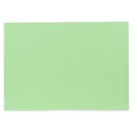 Scrapbooking - Canson Karton Kolorowy Iris Pistacjowy - miniaturka - grafika 1