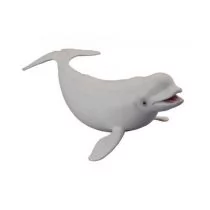 Collecta Wieloryb Bieługa - Figurki dla dzieci - miniaturka - grafika 1