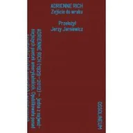 Poezja - Zejście do wraku - miniaturka - grafika 1