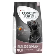 Sucha karma dla psów - Concept for Life Labrador Retriever Adult - 4 x 1,5 kg - miniaturka - grafika 1