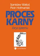 Prawo - Proces karny. Zarys systemu - miniaturka - grafika 1