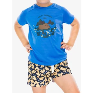 Koszulka dziecięca Helly Hansen Marka T-Shirt - Odzież sportowa dziecięca - miniaturka - grafika 1