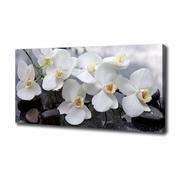 Obrazy i zdjęcia na płótnie - Foto obraz canvas Orchidea - miniaturka - grafika 1