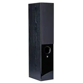 Głośniki i kolumny - Wilson Raptor 5 czarny - miniaturka - grafika 1