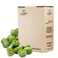 Soki i napoje niegazowane - Sok tłoczony 100% Mini Kiwi Aktinidia witamina C E K kwas foliowy potas 3L - miniaturka - grafika 1