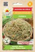 Nasiona i cebule - Toraf KIEŁKI Pszenica nasiona 50g 01228 - miniaturka - grafika 1