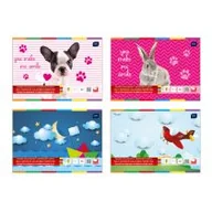 Szkolne artykuły papiernicze - Inter-druk Zeszyt papierów kolorowych samop. B5 - miniaturka - grafika 1
