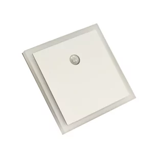 EVO WHITE Barwa Neutralna 4000K 12V z czujnikiem ruchu - Akcesoria do oświetlenia - miniaturka - grafika 1