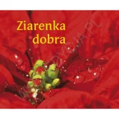 Aforyzmy i sentencje - Edycja Świętego Pawła praca zbiorowa Perełka 173. Ziarenka dobra - miniaturka - grafika 1