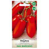 Nasiona i cebule - Pomidor wysoki San Marzano nasiona 0,5g - WegAna - miniaturka - grafika 1