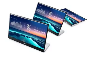 DELL P1424H 210-BHQQ - Monitory - miniaturka - grafika 5