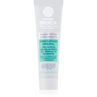 Płyny do płukania jamy ustnej - Natura siberica NATURA SIBERICA - Natural Siberian Toothpaste - Kamchatkan Mineral - Naturalna pasta do zębów Minerały Kamczackie - 100 g - miniaturka - grafika 1