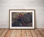 Plakaty - Plakat, Iron Spider-Man Ver4, 84,1x59,4 cm - miniaturka - grafika 1