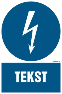 ZNAK NA ZAMÓWIENIE WZÓR D-002, PS - PŁYTA PCV 1MM FOTOLUMINESCENCYJNA; (250X375MM) - Systemy ekspozycyjne i znaki informacyjne - miniaturka - grafika 1