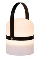 Lampy ogrodowe - Lucide LITTLE JOE 06802/01/30 06802/01/30 - miniaturka - grafika 1
