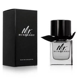 Burberry Mr. woda toaletowa 50ml - Wody i perfumy męskie - miniaturka - grafika 1