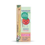 Pasty do zębów - Schwarzkopf Vademecum Bio Kids Pasta do zębów dla dzieci 1 do 6 Strawberry 50ml +szczoteczka bambusowa do zębów - miniaturka - grafika 1