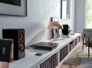 Devialet Expert 440 Pro Dual (Matte Graphite) - Wzmacniacze - miniaturka - grafika 4