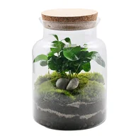 Nasiona i cebule - Ogród w słoiku kawa mix 18x27 cm - miniaturka - grafika 1