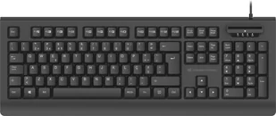 Conceptronic KAYNE01PT QWERTY - Klawiatury - miniaturka - grafika 1