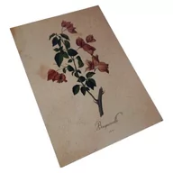 Plakaty - Plakat obraz Kwiaty Vintage A4 - miniaturka - grafika 1