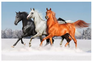 Diamentowa mozaika. Konie 1005259 - Norimpex - Malowanie po numerach - miniaturka - grafika 1