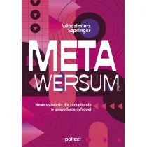 Metawersum. Nowe wyzwania dla zarządzania w gospodarce cyfrowej - Podstawy obsługi komputera - miniaturka - grafika 1