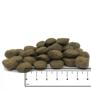 ICEPAW Polar Deer jeleń polarny karma dla dorosłych psów (2 kg) - Sucha karma dla psów - miniaturka - grafika 2