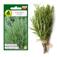 Nasiona i cebule - ROZMARYN PRZYPRAWA ZIOŁA NASIONA ZIÓŁ BEZ GMO - miniaturka - grafika 1