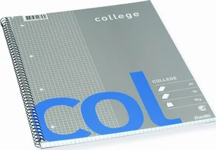 Bantex Bantex Col, Image, Blue, Grey, A4+, 70 sheets, Semi-glossy, Squared paper - Zeszyty szkolne - miniaturka - grafika 1